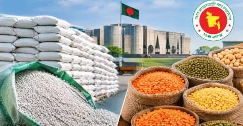 দেড় লাখ টন সার ও ১০ হাজার টন ডাল কিনছে সরকার