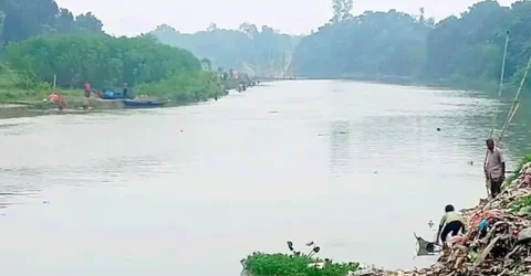 হঠাৎ মরে ভেসে উঠছে বারনই নদীর মাছ