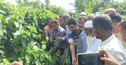 ডেঙ্গু প্রতিরোধে রায়গঞ্জে পরিচ্ছন্নতা অভিযান উদ্বোধন-এমপি