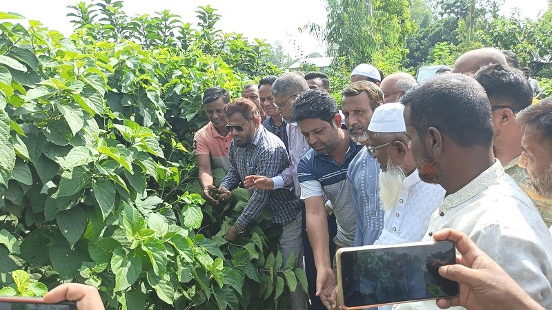 ডেঙ্গু প্রতিরোধে রায়গঞ্জে পরিচ্ছন্নতা অভিযান উদ্বোধন-এমপি
