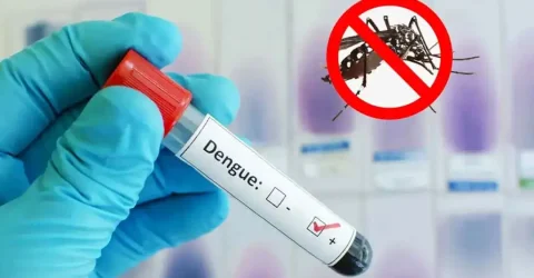 ডেঙ্গুতে একদিনে আরও ৭ জনের মৃত্যু