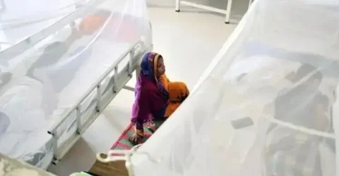 চট্টগ্রামে আরও ৬৩ জন ডেঙ্গুতে আক্রান্ত