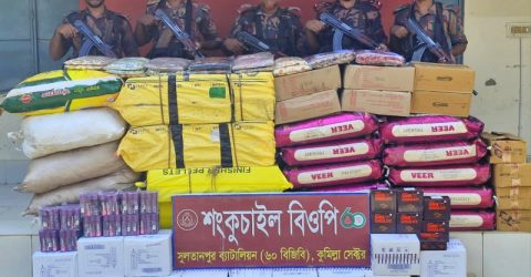 সীমান্তে ৪২ লাখ টাকার ভারতীয় পণ্য জব্দ