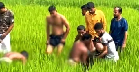 পল্লি বিদ্যুতের ছেঁড়া তারে জড়িয়ে প্রাণ গেল দুই ভাইয়ের
