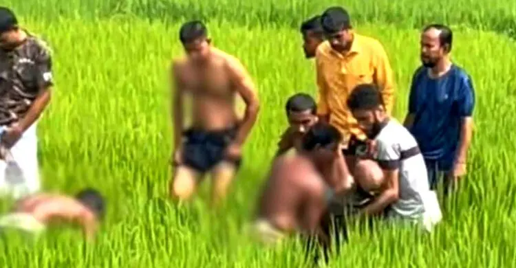 পল্লি বিদ্যুতের ছেঁড়া তারে জড়িয়ে প্রাণ গেল দুই ভাইয়ের