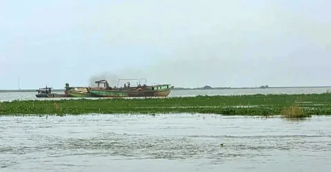 খালিয়াজুরীতে হাওরে হাঁস চড়ানোর সময় বজ্রপাতে খামারির মৃত্যু
