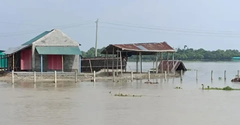 ১০ দিন পর পদ্মায় কমছে পানি, বাড়ছে মহানন্দা ও পূনর্ভবায়