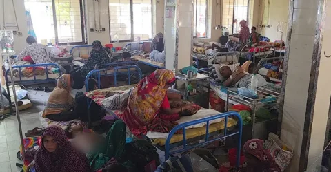 পটুয়াখালীতে ডেঙ্গুর প্রকোপ বাড়ছে, ২৪ ঘণ্টায় দ্বিগুণ রোগী