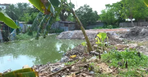 উদ্ধার করেও রক্ষা করা গেল না, ফের ভরাট হচ্ছে পুকুর