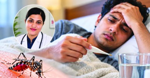 ডেঙ্গু জ্বর কমে যাওয়ার পরেও দুটি ফেজ থাকে