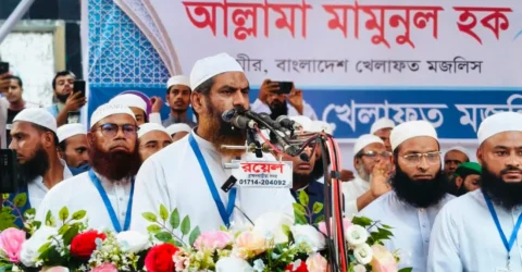 এই সরকার শহীদদের রক্তের সঙ্গে গাদ্দারি করেছে: মামুনুল হক