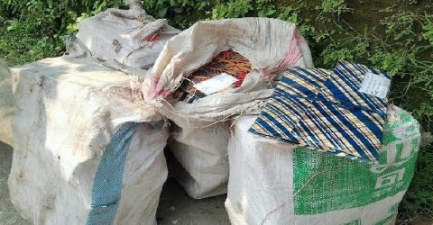 দুদকের অভিযানের পর রাস্তায় দুই শতাধিক শিক্ষকের ফাইল, তদন্তে পুলিশ