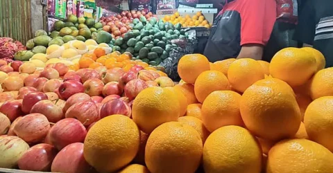 ৮৭ টাকার মাল্টায় শুল্ক ১০৭ টাকা!