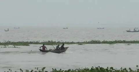 ঢিলেঢালা অভিযানে নদীর বুকজুড়ে ইলিশ শিকারের মহোৎসব