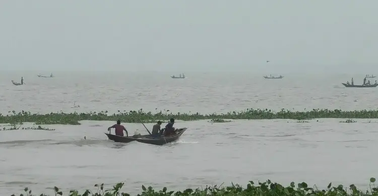 ঢিলেঢালা অভিযানে নদীর বুকজুড়ে ইলিশ শিকারের মহোৎসব
