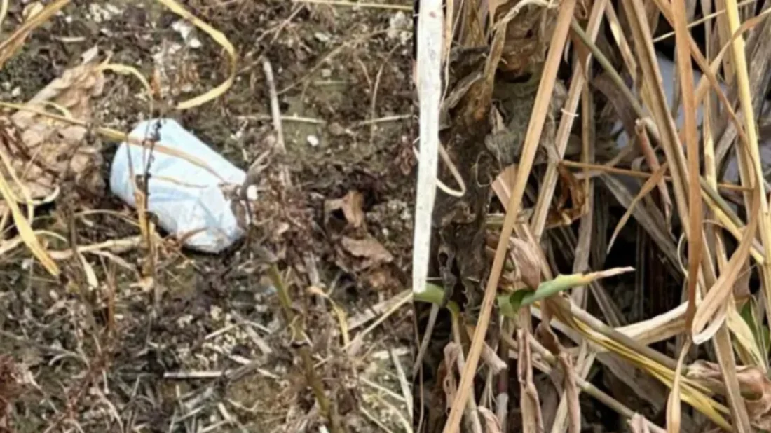খেলনা বল মনে করে ককটেল হাতে নিল কিশোর, মাটিতে ফেলতেই বিস্ফোরণ