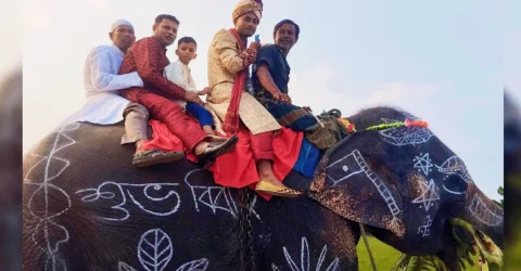 মা-বাবার ইচ্ছা পূরণে হাতির পিঠে বরযাত্রা, নজর কাড়লেন সাকিব