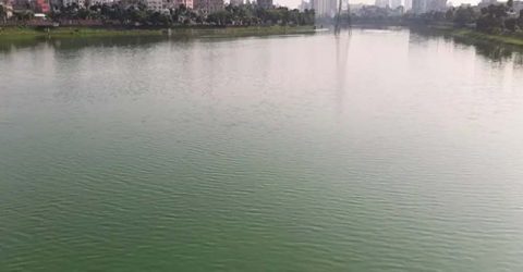 দুর্গন্ধে অতিষ্ঠ নগরবাসী, দূষণে বিপন্ন হাতিরঝিল