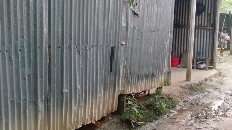 এক রাতে তিন বাড়ি থেকে ৪ গরু চুরি
