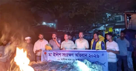 এতিমখানায় পাঠানো হলো অভিযানে জব্দ ৯০ কেজি ইলিশ